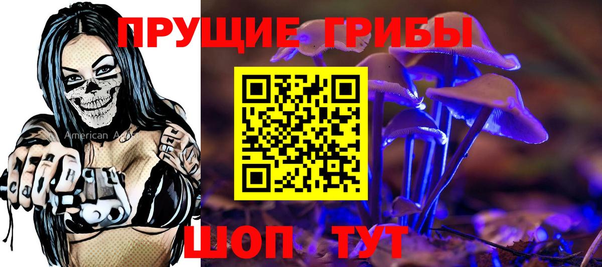 Улан-Удэ  Псилоцибиновые грибы мухоморы  Псилоцибиновые грибы мицелий  Вход с VPN 